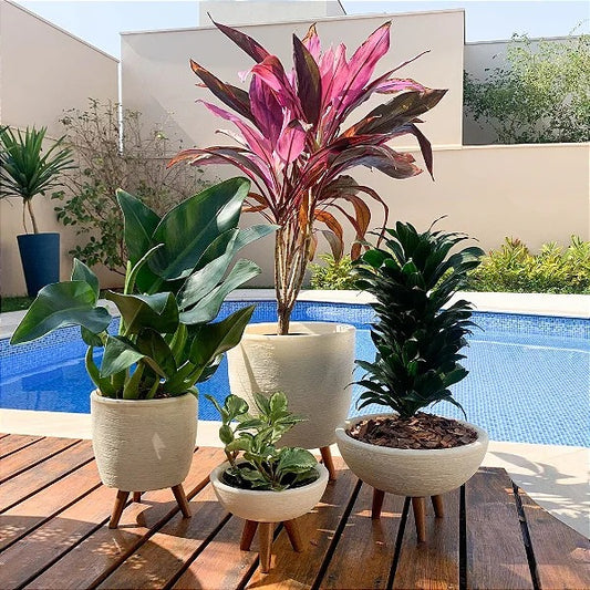 Pack de 4 Maceteros para Plantas con Trípode de Madera