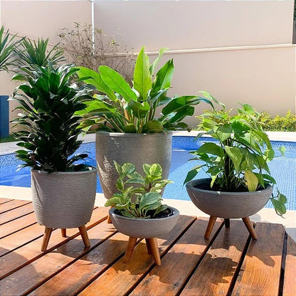 Pack de 4 Maceteros para Plantas con Trípode de Madera