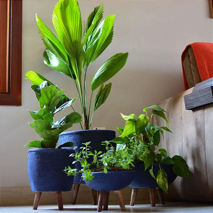 Pack de 4 Maceteros para Plantas con Trípode de Madera