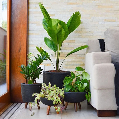 Pack de 4 Maceteros para Plantas con Trípode de Madera